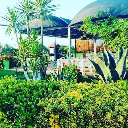 La Tenuta Del Passero Le Ferriere Ngoại thất bức ảnh